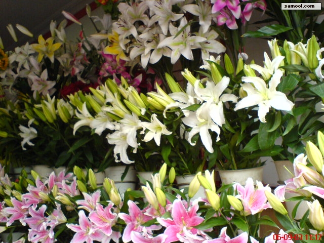 dsc00383.jpg