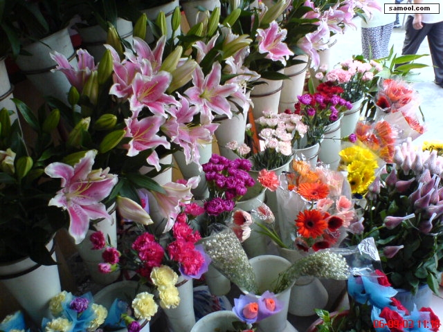 dsc00386.jpg