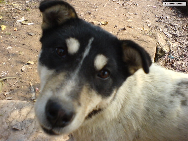 dsc01578.jpg