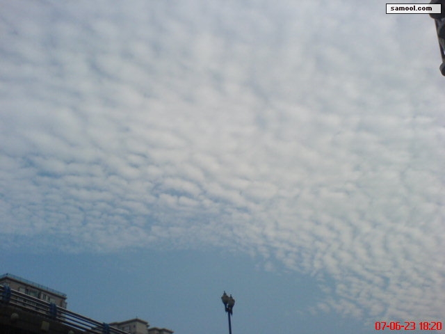 dsc02142.jpg