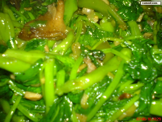 dsc02124.jpg