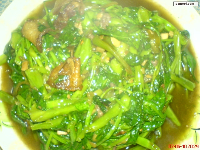 dsc02123.jpg
