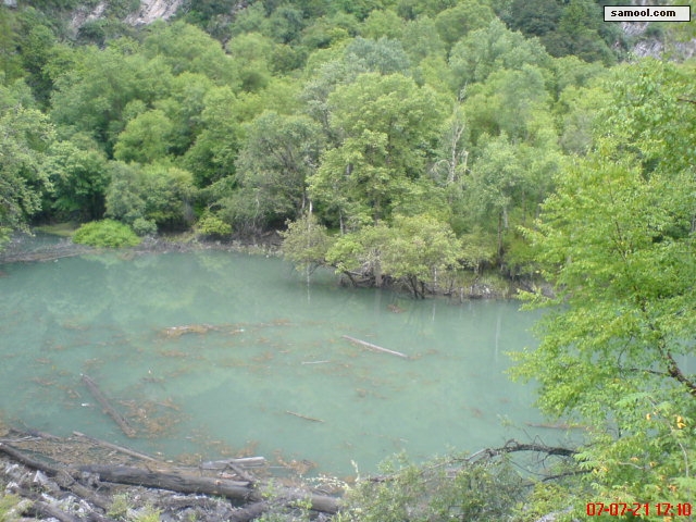 dsc02394.jpg