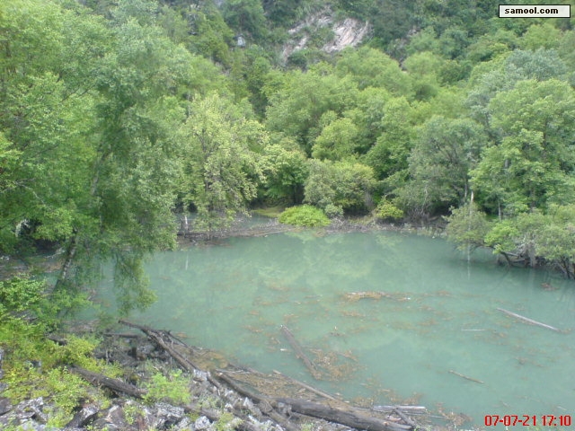 dsc02393.jpg