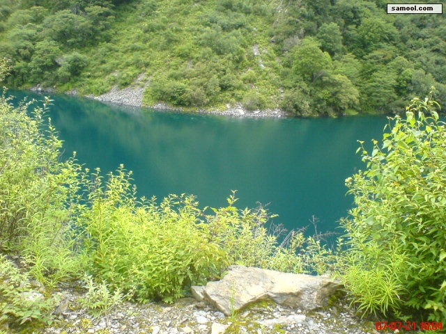 dsc02414.jpg
