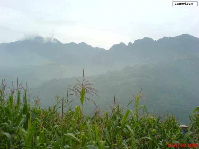 dsc02226.jpg