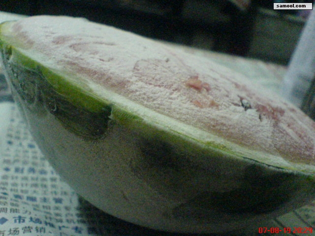 dsc05175.jpg