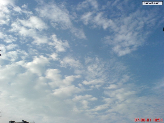 dsc05092.jpg