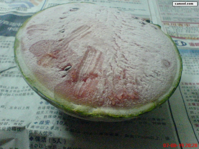 dsc05174.jpg