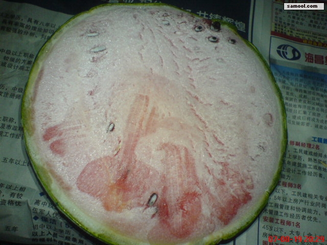 dsc05177.jpg