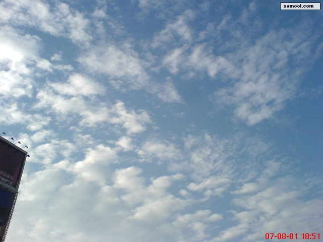 dsc05090.jpg