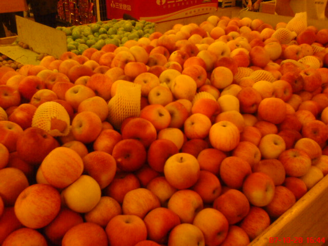 dsc05556.jpg