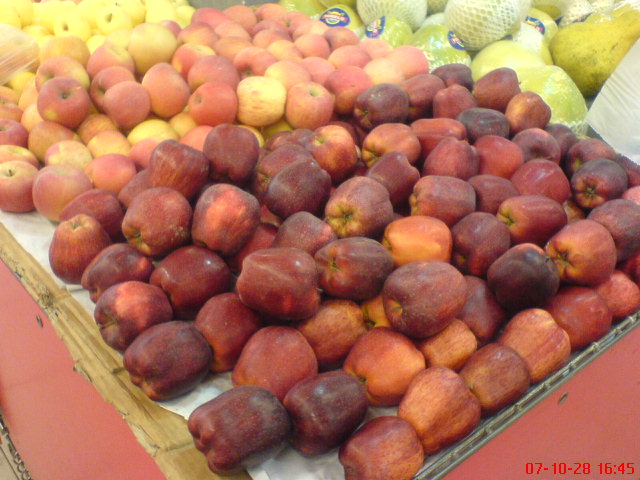 dsc05560.jpg