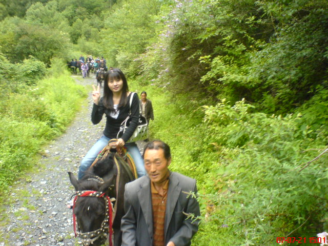 dsc02339.jpg